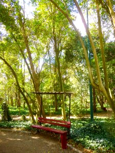 Cortes - Parque Municipal 19