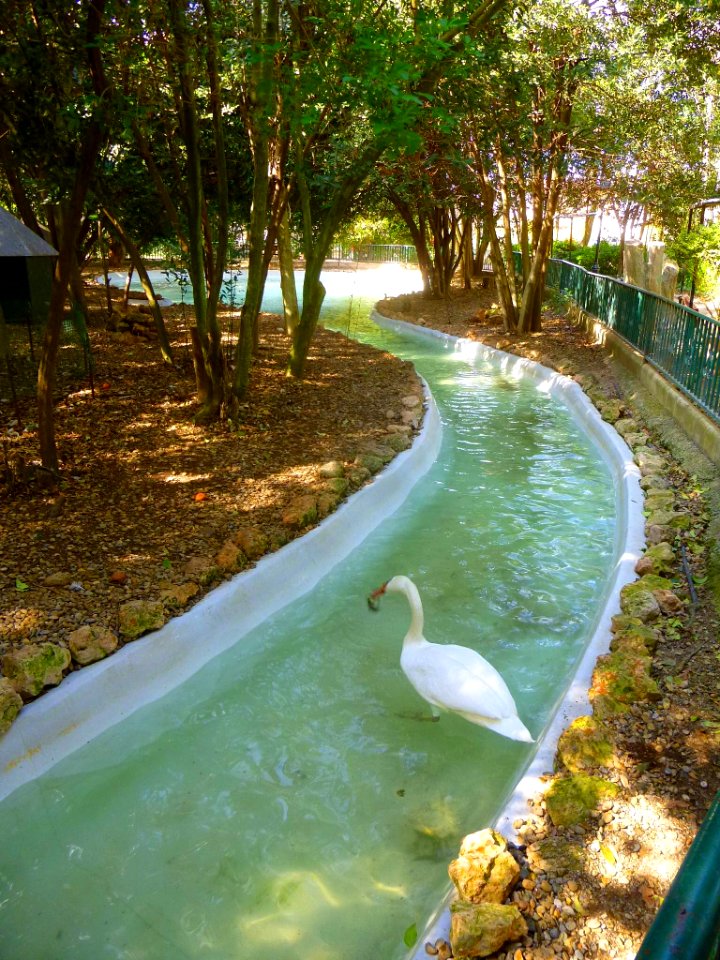 Cortes - Parque Municipal 10