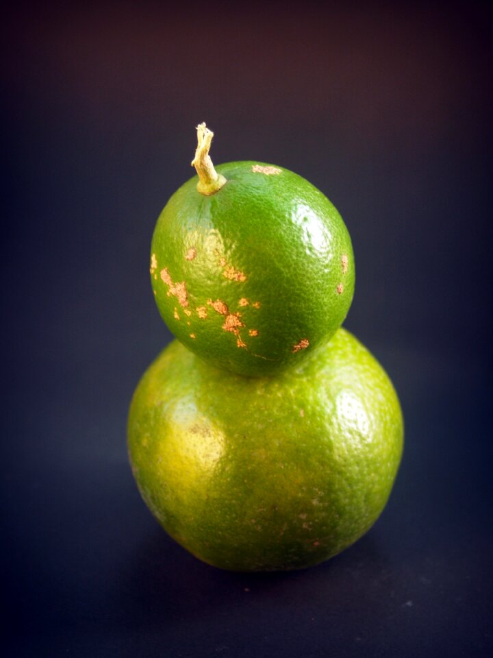 Green whole white