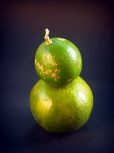 Green whole white