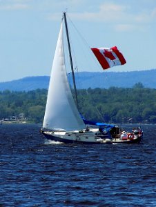 Corvette 31 sailboat Free n Easy II 2796