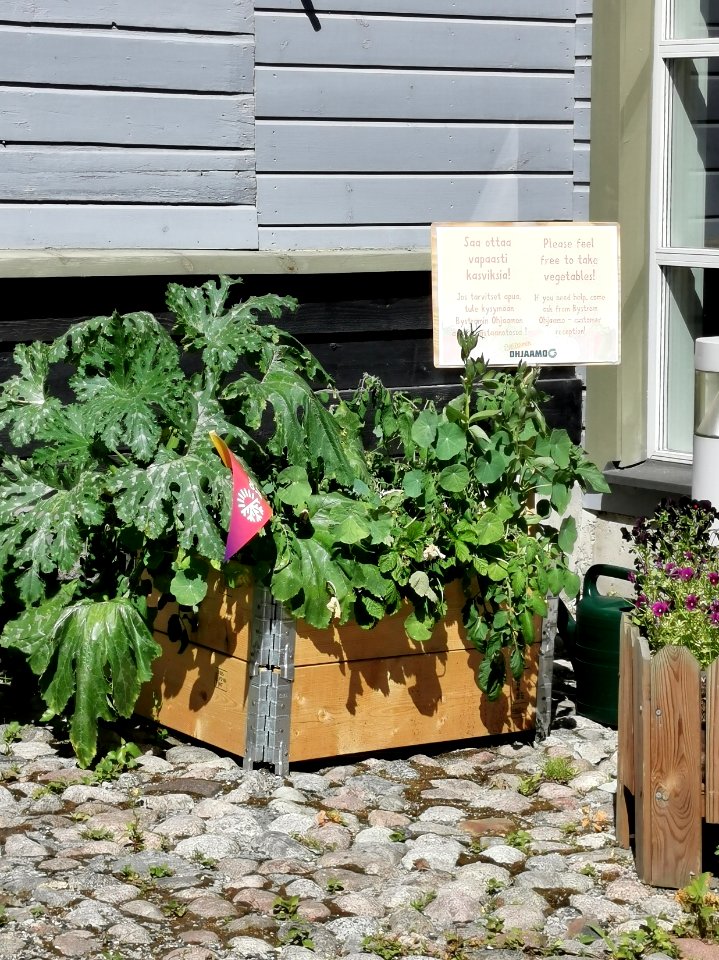 Courtyard Ojakatu 3 Oulu 20210709 03