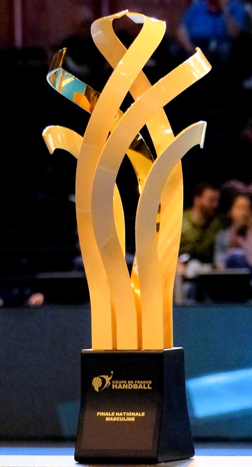 Coupe de France Nationale Masculine 2014