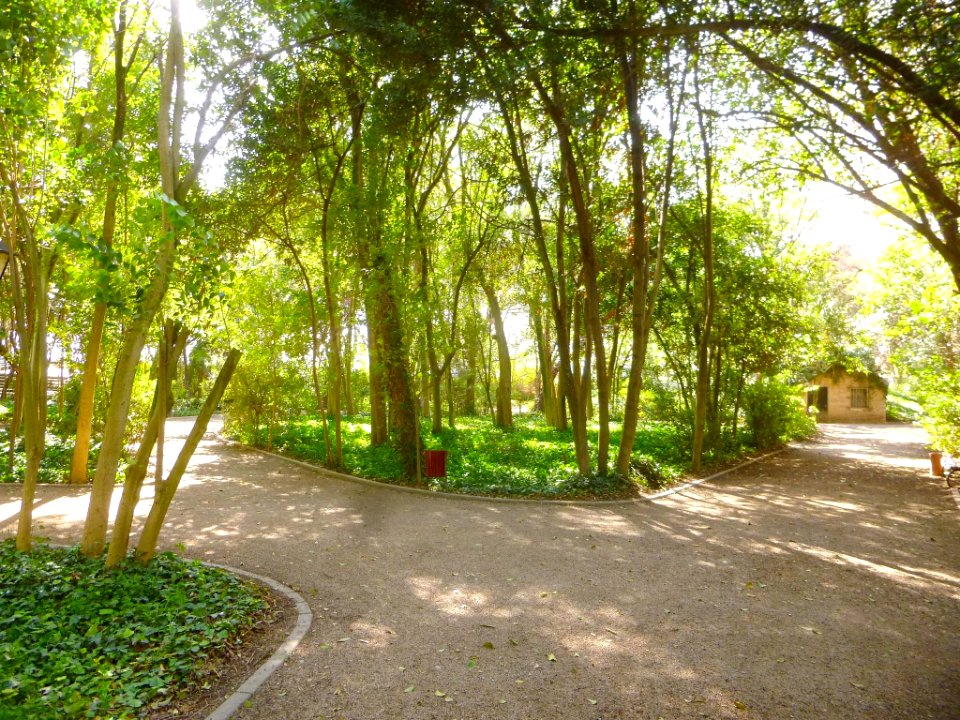 Cortes - Parque Municipal 18