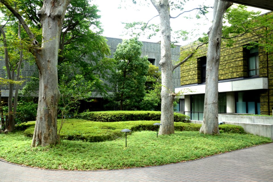 Courtyard - National Museum of Western Art, Tokyo - DSC08406