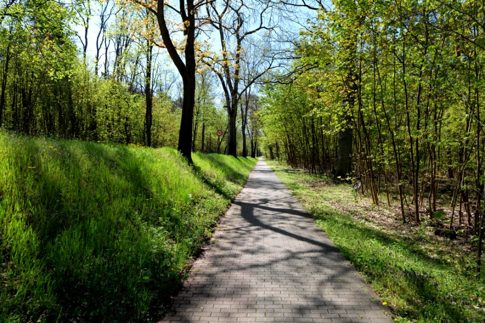 Cottbuser Straße Wünsdorf 2021-05-09 01
