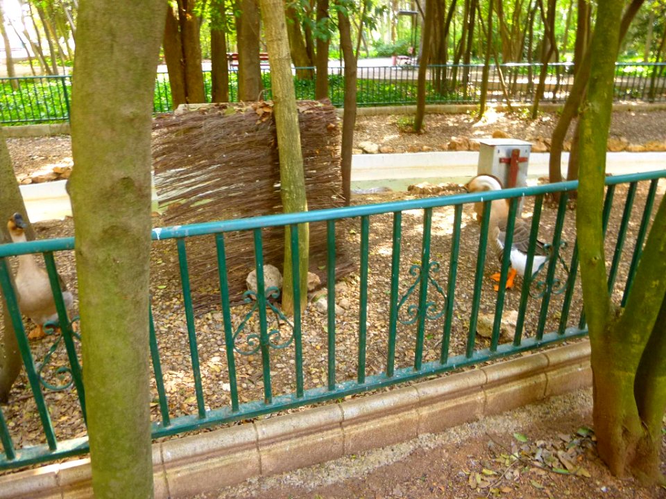 Cortes - Parque Municipal 15