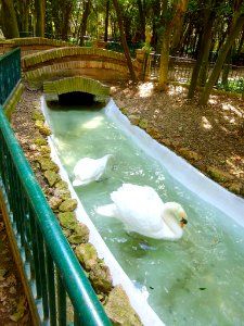 Cortes - Parque Municipal 14