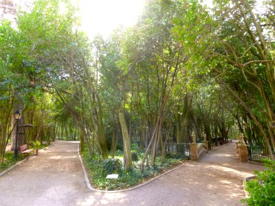 Cortes - Parque Municipal 07