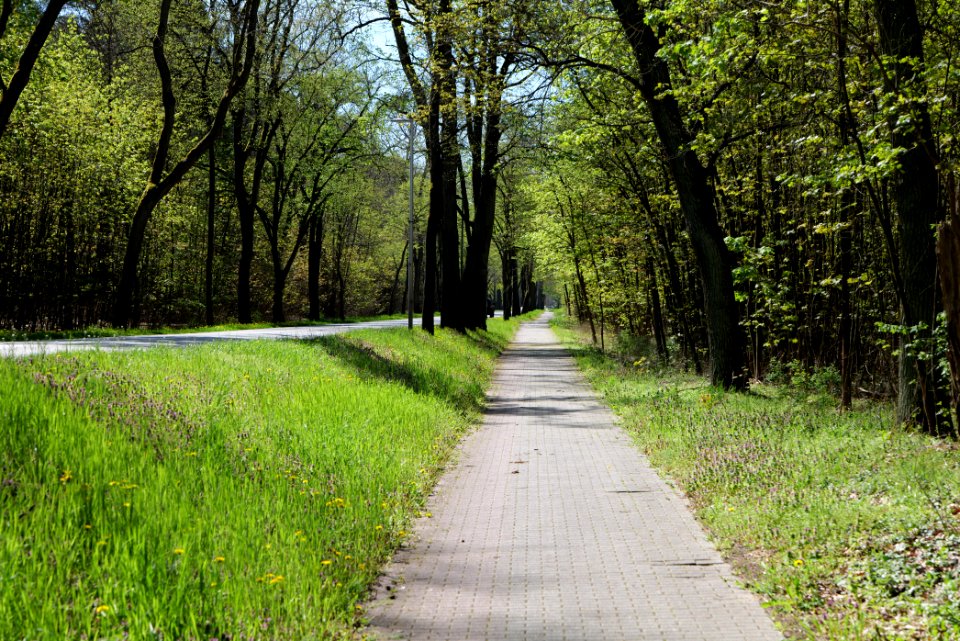 Cottbuser Straße Wünsdorf 2021-05-09 08