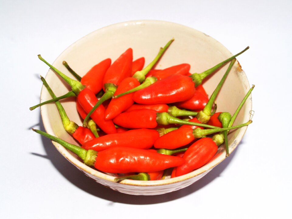 Hot chili paprika photo