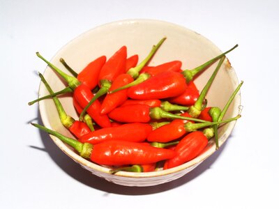 Hot chili paprika