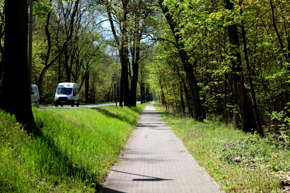 Cottbuser Straße Wünsdorf 2021-05-09 07