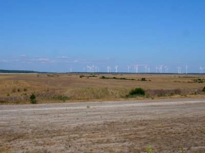 Cottbuser Ostsee in july 2019 23