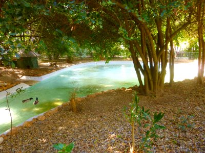 Cortes - Parque Municipal 12
