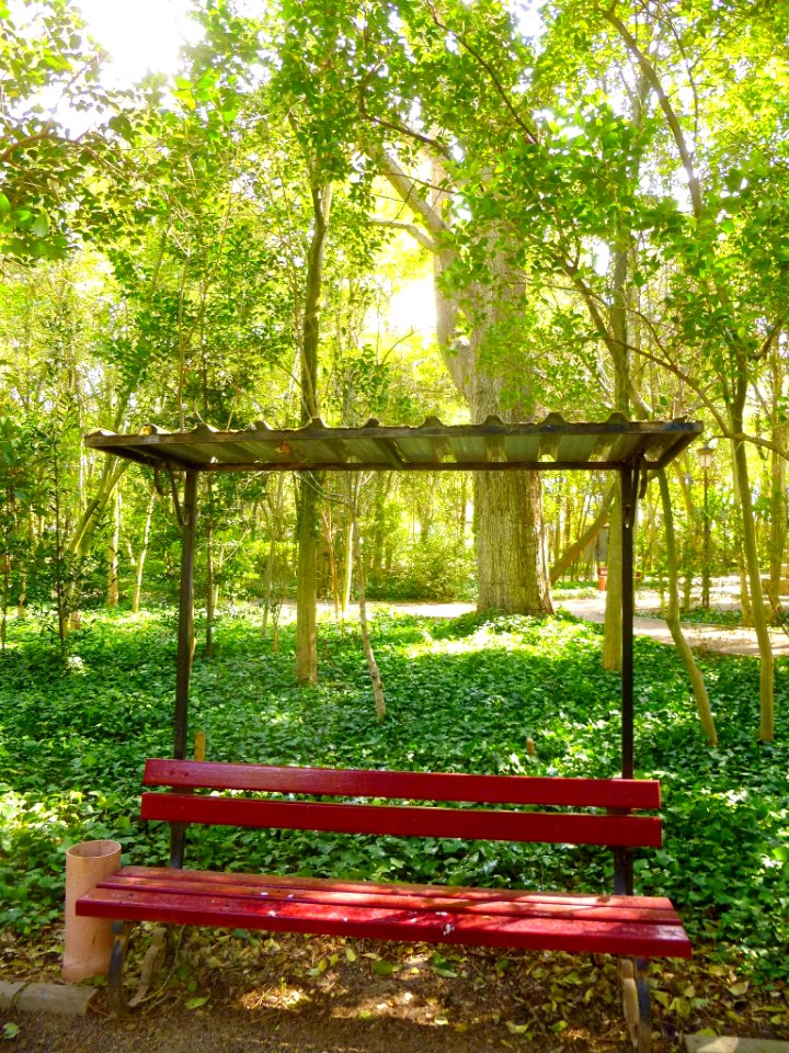 Cortes - Parque Municipal 17
