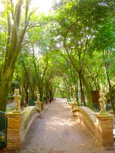 Cortes - Parque Municipal 08