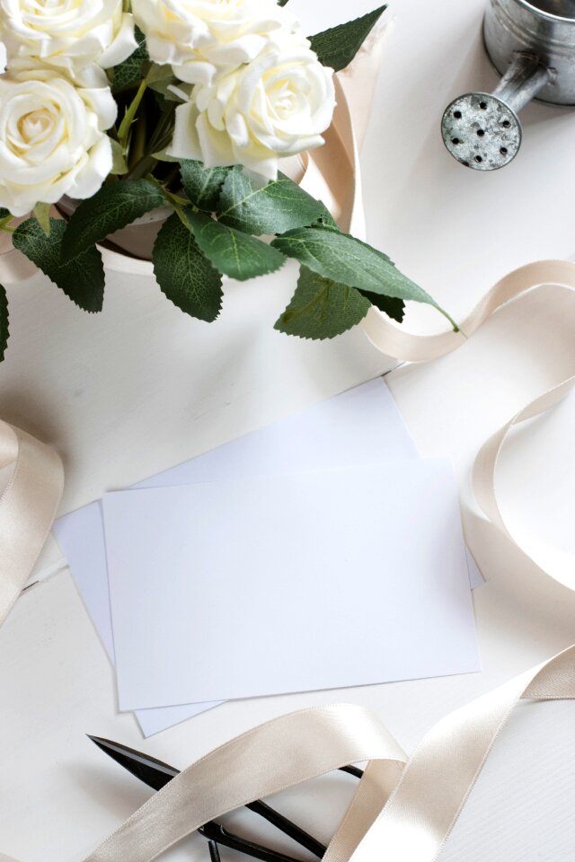 Canvas card paper