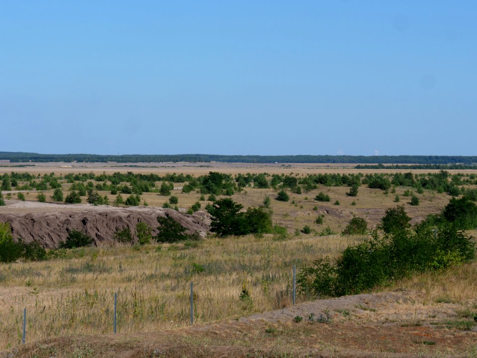 Cottbuser Ostsee in july 2019 08