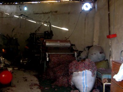 Cotton Machine (willow)- Bazzar of Nishapur - morning 01