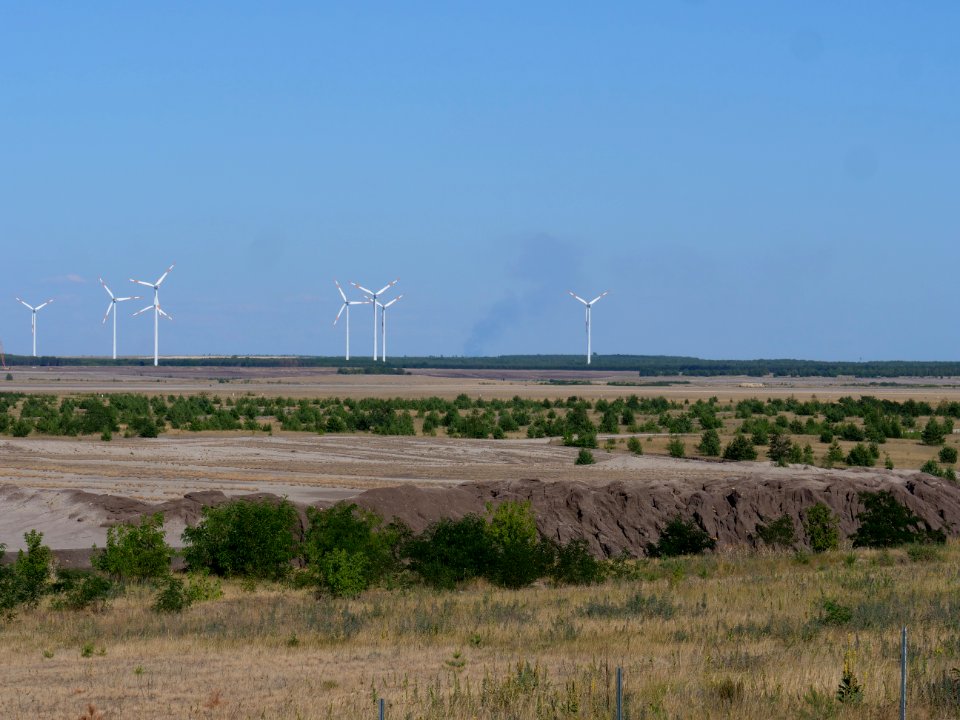 Cottbuser Ostsee in july 2019 09