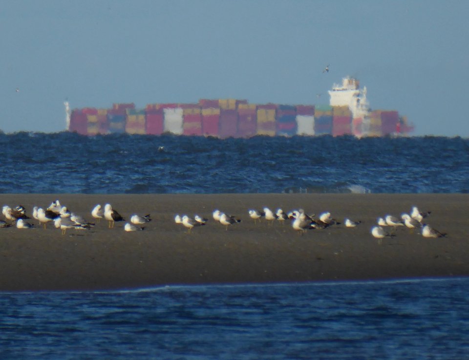 Containerfrachter hinter dem Horizont