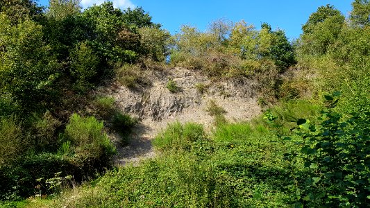 Cottessen-Cottessergroeve (6)