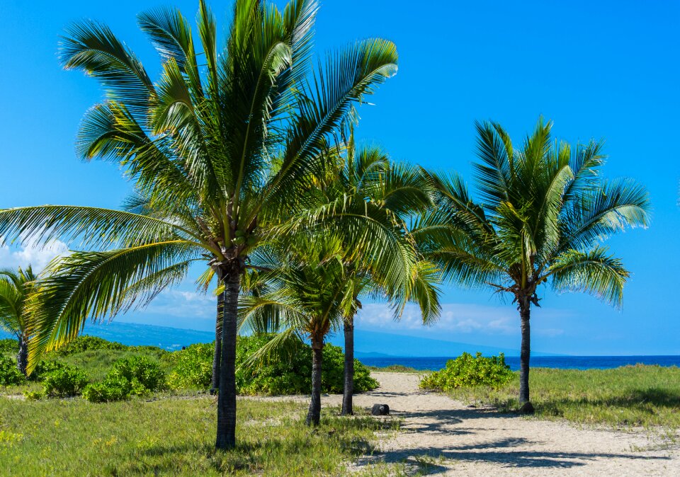 Hawaii beach ocean beach