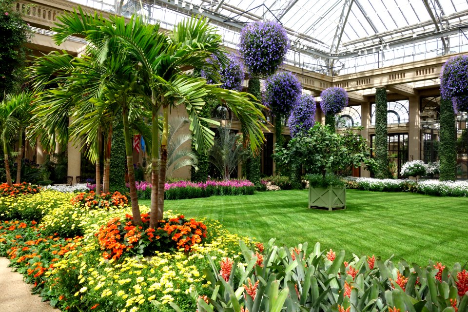 Conservatory - Longwood Gardens - DSC01096