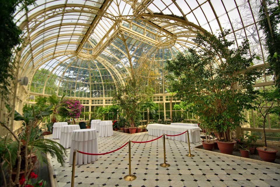 Conservatory at Farmleigh, interior