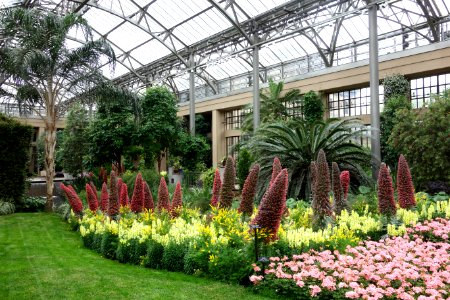Conservatory - Longwood Gardens - DSC01032