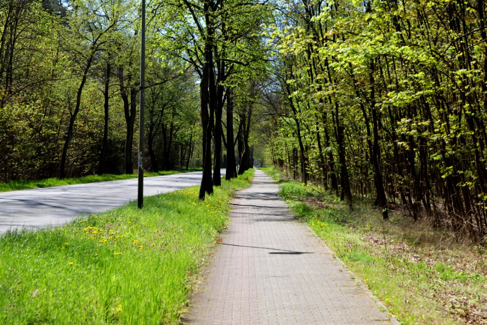 Cottbuser Straße Wünsdorf 2021-05-09 10
