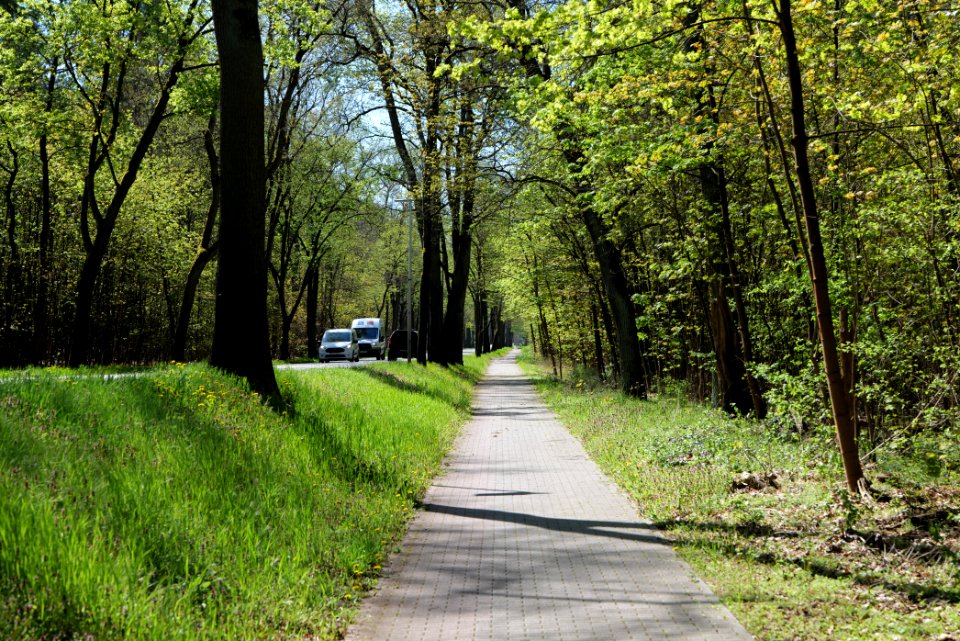 Cottbuser Straße Wünsdorf 2021-05-09 06