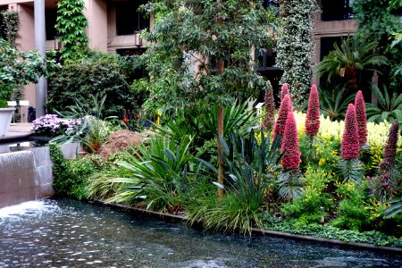 Conservatory - Longwood Gardens - DSC01064