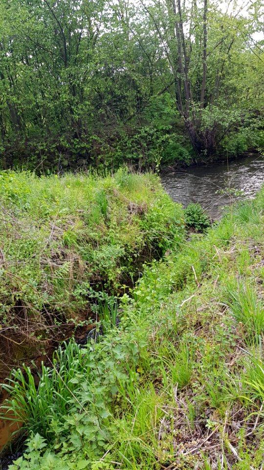 Cottessen-Sippenaeken-monding Cottesserbeek (3)