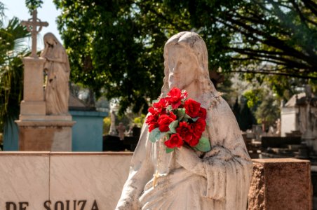 Consolata Cemetery 6