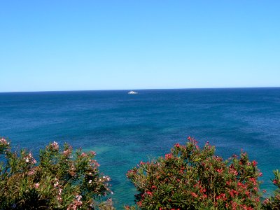 Corse SteLucie 13