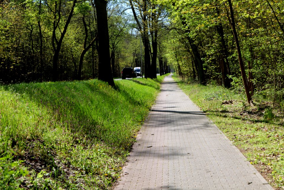 Cottbuser Straße Wünsdorf 2021-05-09 05