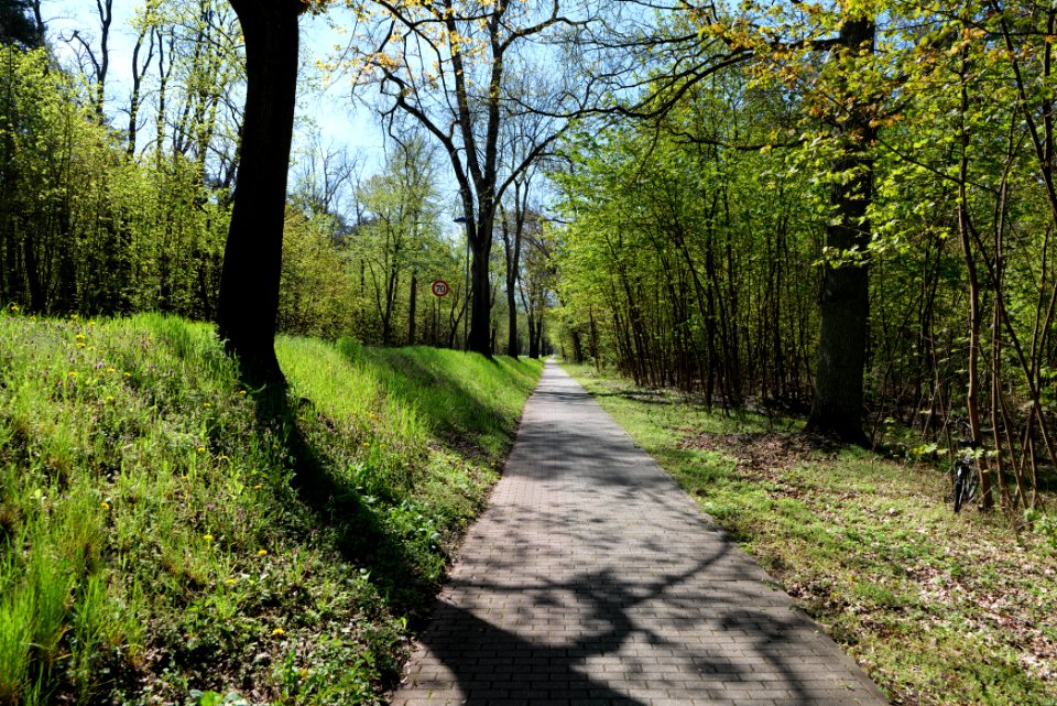 Cottbuser Straße Wünsdorf 2021-05-09 03