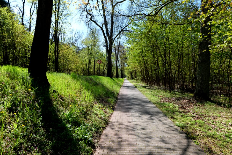 Cottbuser Straße Wünsdorf 2021-05-09 04