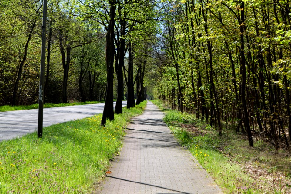 Cottbuser Straße Wünsdorf 2021-05-09 11