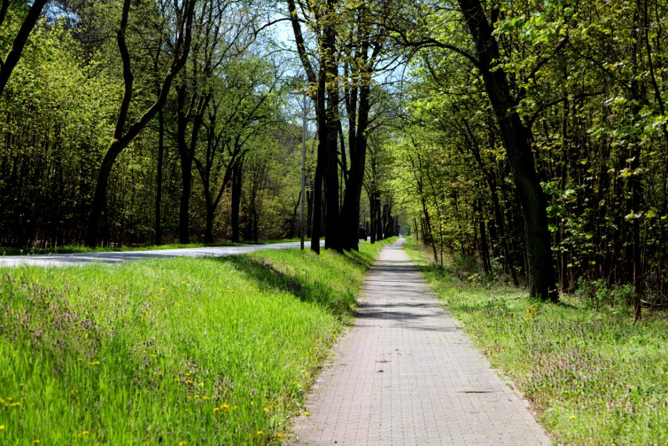 Cottbuser Straße Wünsdorf 2021-05-09 09