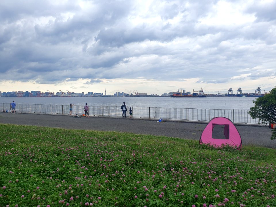 Containers carrier with cranes, Tokyo, seen from Jonanjima Park