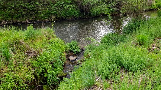 Cottessen-Sippenaeken-monding Cottesserbeek (1)