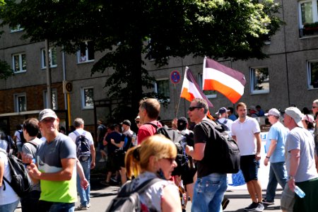Conspiracy theorist protest Berlin 2020-08-01 93