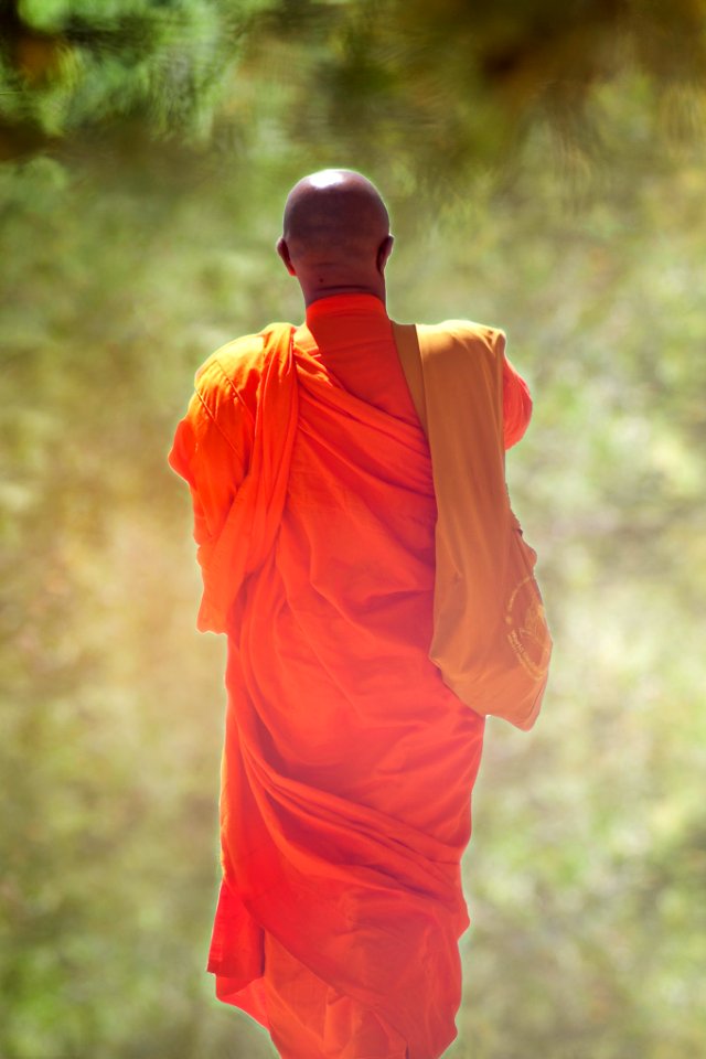 Contemplation (220257345)