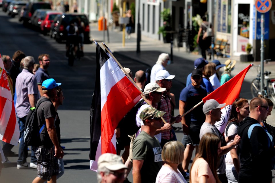 Conspiracy theorist protest Berlin 2020-08-01 75