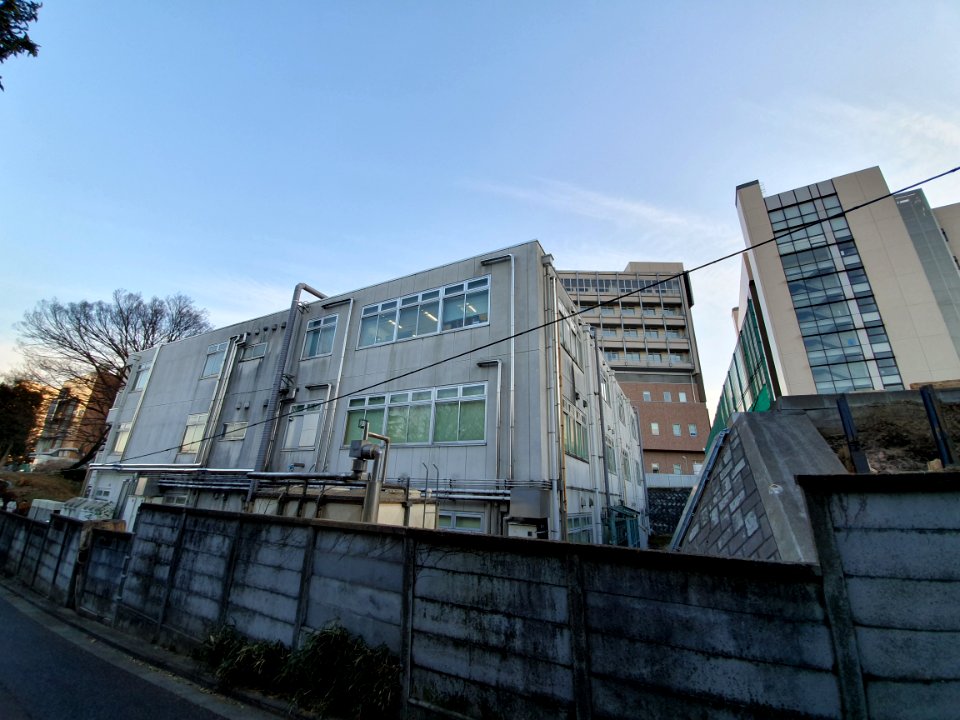 Construction at Institute of Medical Science 3