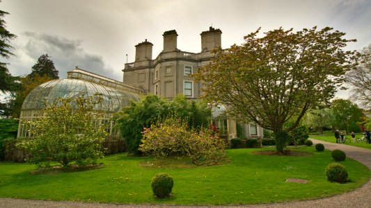 Conservatory at Farmleigh