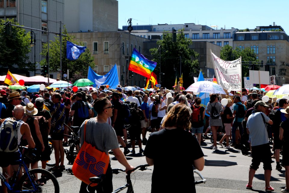 Conspiracy theorist protest Berlin 2020-08-01 44